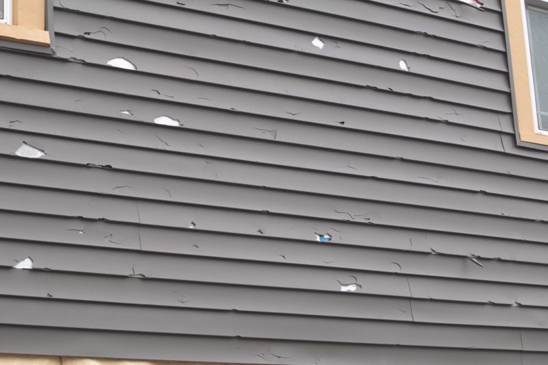 Vinyl Siding Panel Replacement