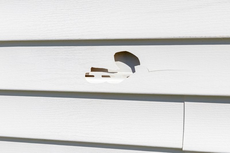 Crack Repair in Vinyl Siding