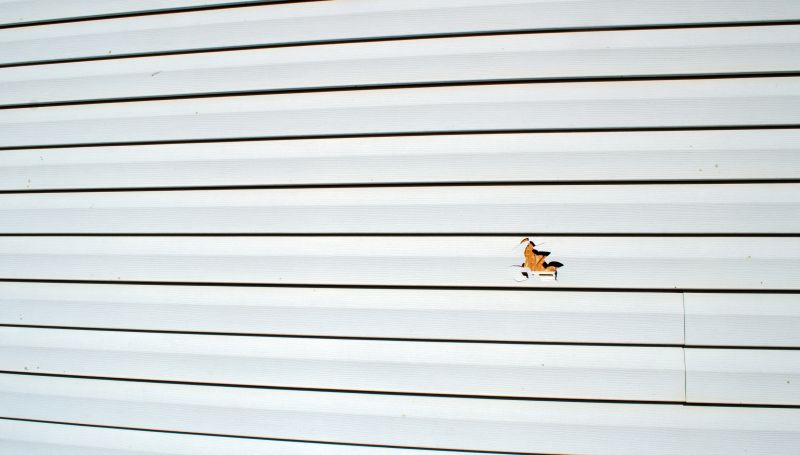 Expert Repair Assessment